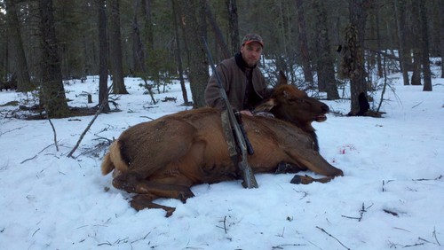 New Mexico Cow Elk Hunts