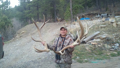 Sierra Blanca Shed Hunting