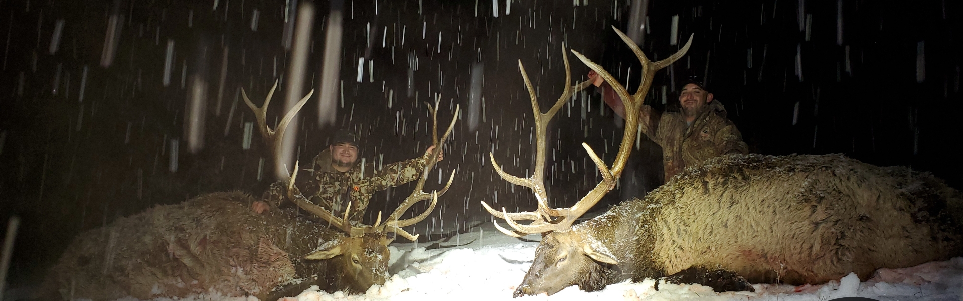 New Mexico Late Season Elk Hunts