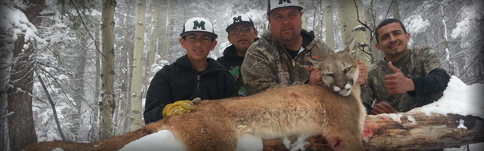 New Mexico Mountain Lion Hunts, Dangerously Big Cats!