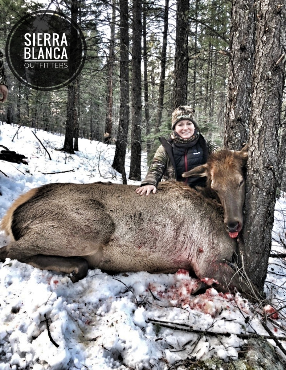 The Cow Elk Hunt