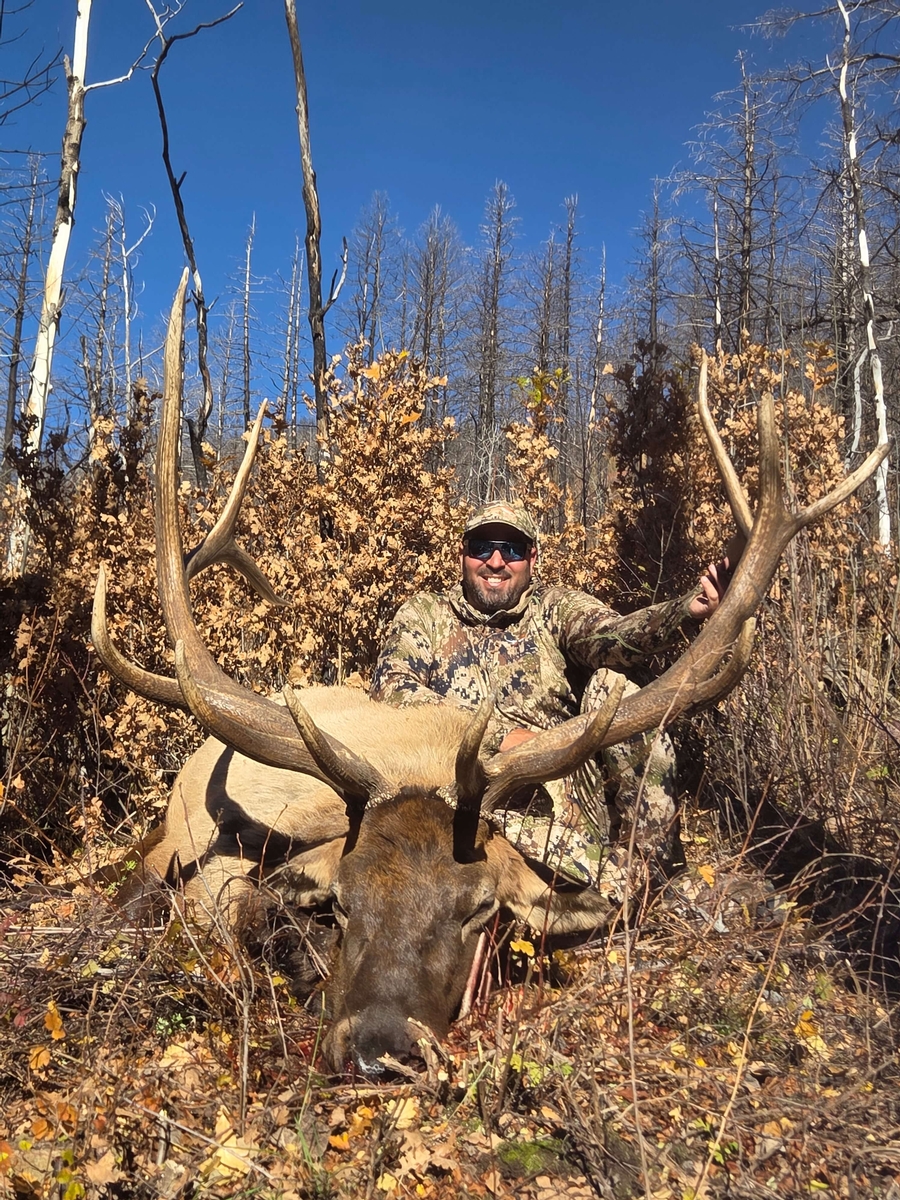 New Mexico Elk Hunting Photos