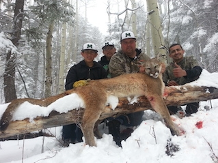 Hunting Mountain Lion in NM