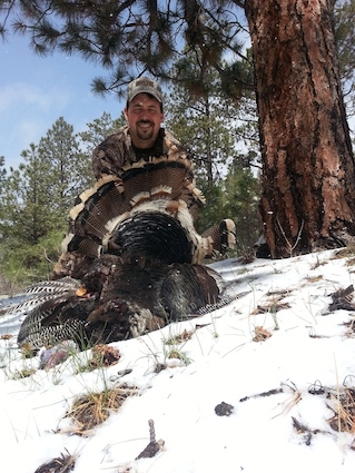 Merriam Turkey Photos