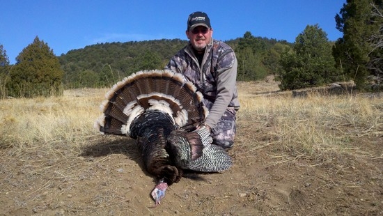 General Content Photos Photo