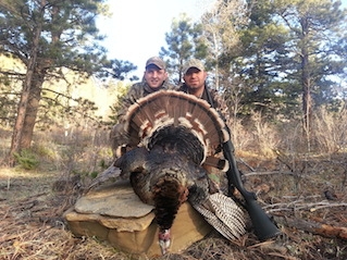 New Mexico Turkey Pictures