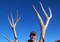 Bull elk hunt in New Mexico with Sierra Blanca Outfitters. 