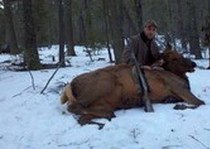 Cow elk hunt with Sierra Blanca Outfitters
