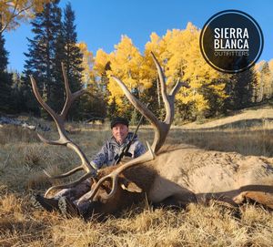 Elk Hunting