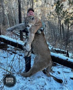 Mt Lion Hunting