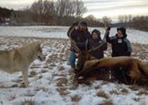Elk Hunting