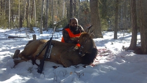 Elk Hunting