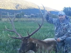 Elk Hunting
