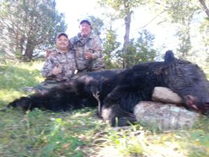 Black Bear Hunts