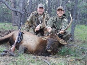 Elk Hunting