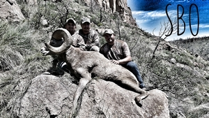 Sheep Hunting