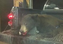 Sierra Blanca Outfitters photo gallery.