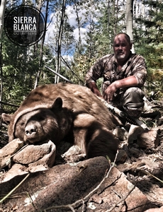 Black Bear Hunts