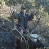 Frank's NM Bull Elk with Sierra Blanca Outfitters.