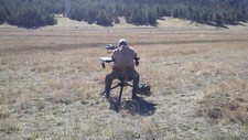 new-mexico-prairie-dog-hunt