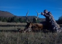 Sierra Blanca Outfitters photo gallery.