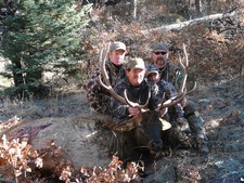 Guided NM Elk Hunt