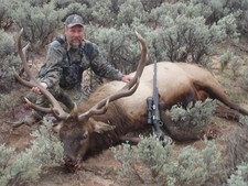 New Mexico Elk Hunt