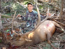 New Mexico Elk Hunt