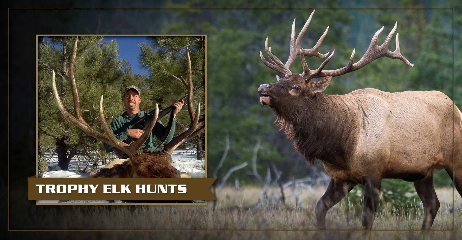 1.jpg Trophy Elk Hunts