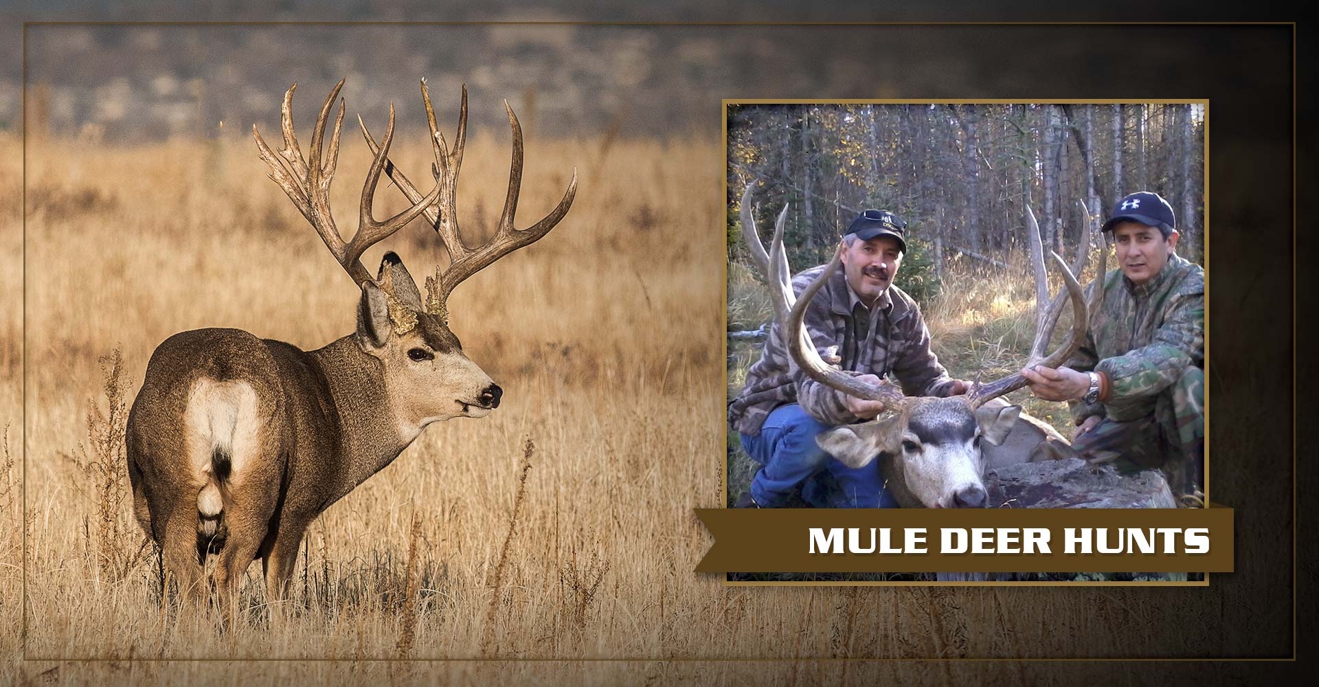 2.jpg Mule Deer Hunts