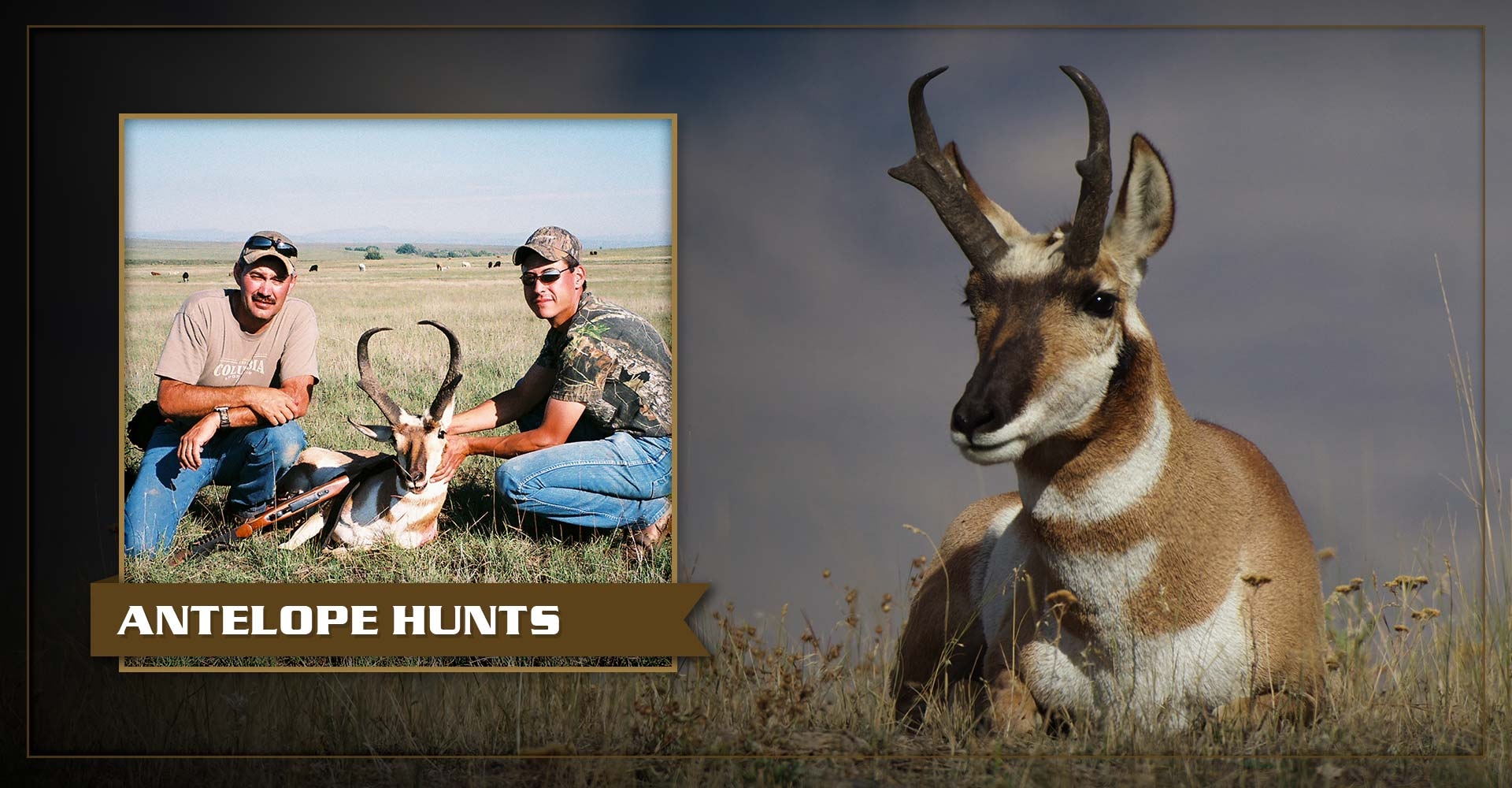 3.jpg Antelope Hunts