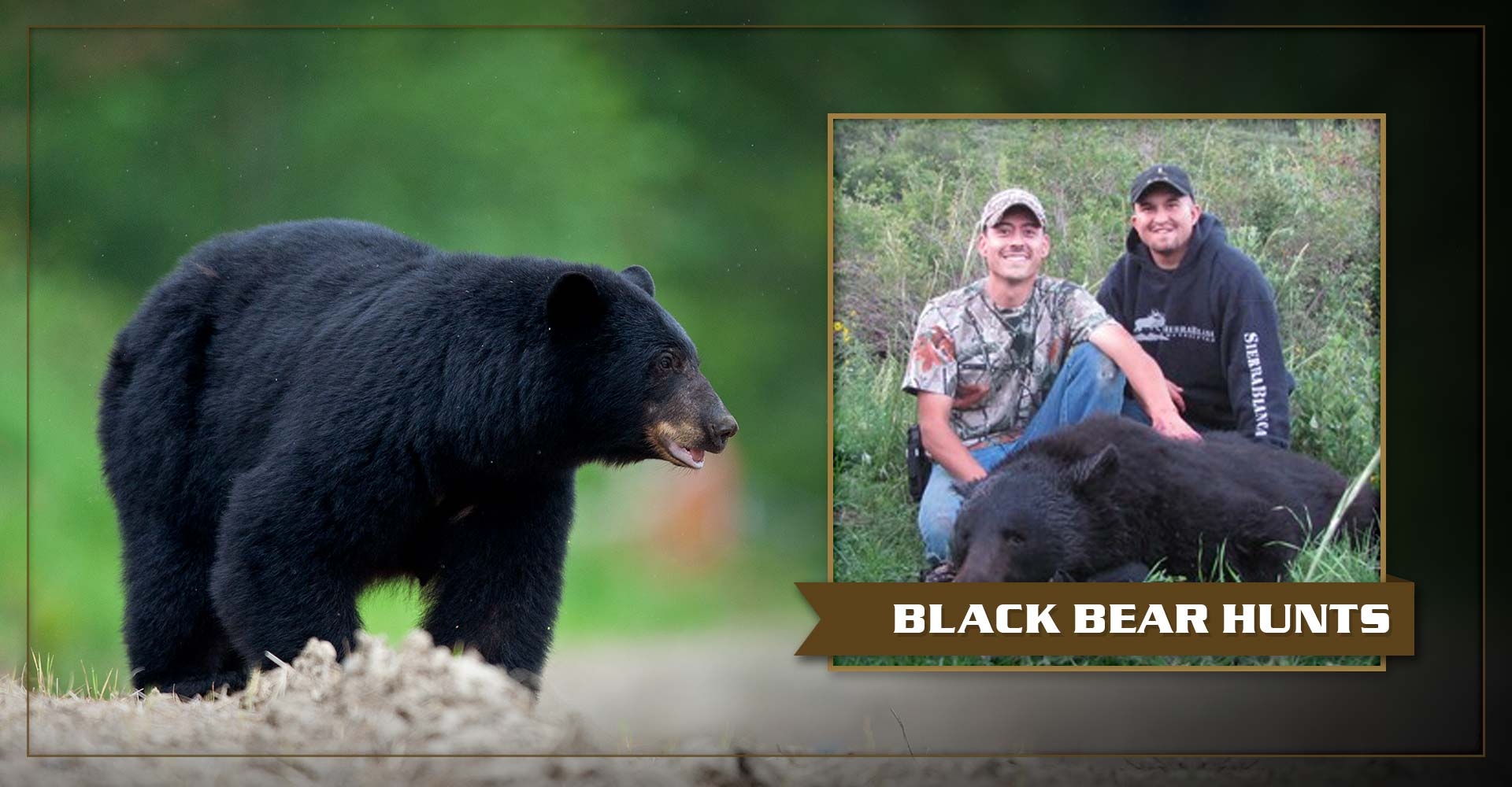 4.jpg Black Bear Hunts